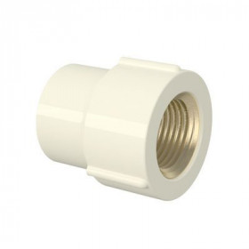 Luva de Transição Aquatherm®22mm x3/4" Tigre